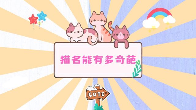 来看看这些猫咪的名字,你家猫咪上榜没