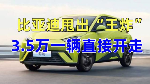 比亚迪甩出“王炸”?新车3.5万一辆直接开走?网友:马上换车