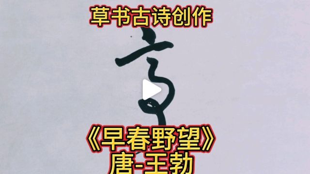 龙飞凤舞的草书古诗欣赏《早春野望》唐王勃,欢迎大家观看点评