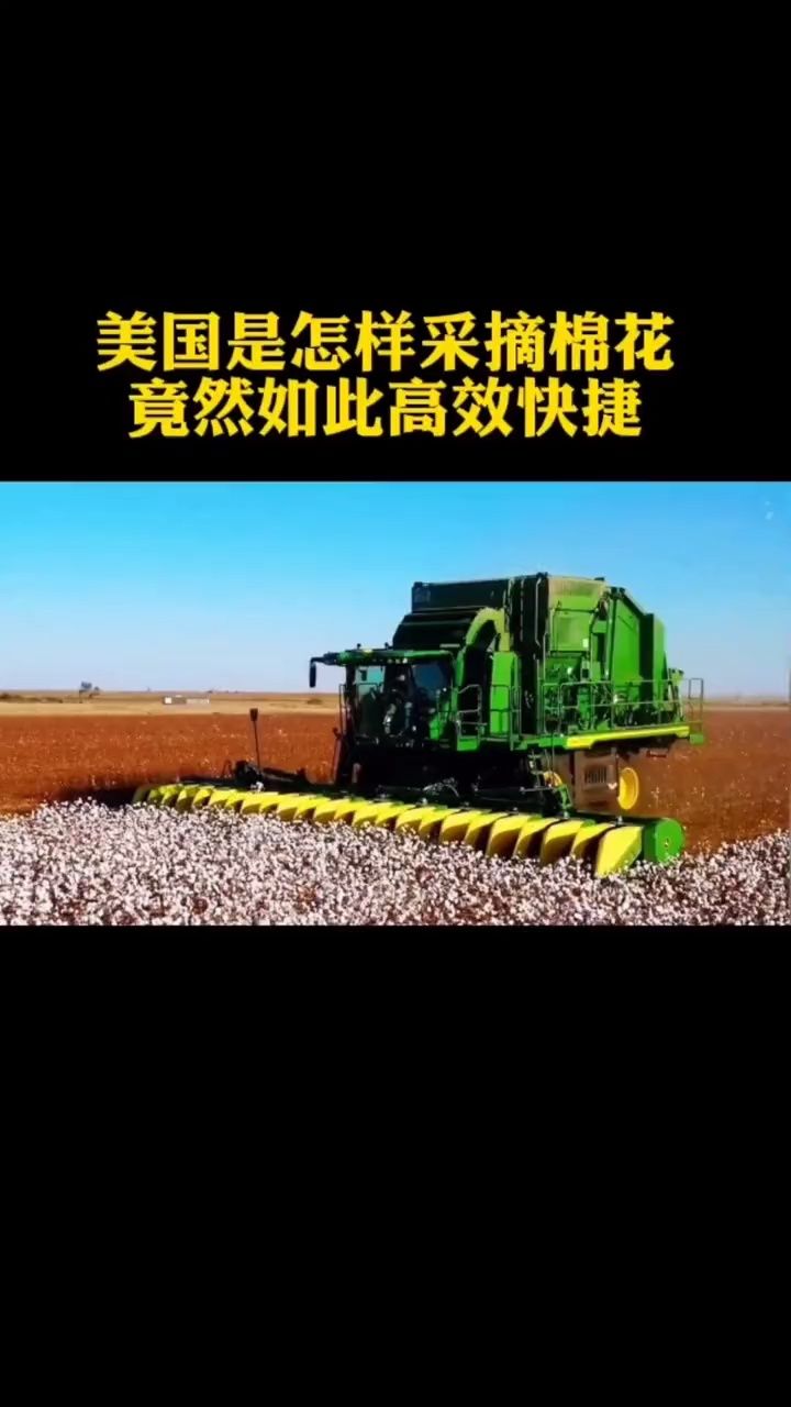 美国是怎样采摘棉花,竟然如此高效快捷