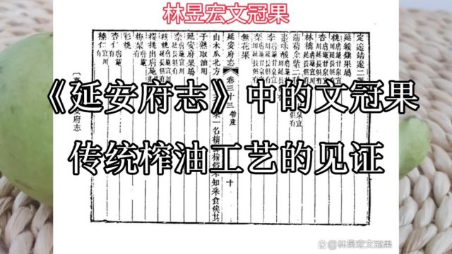 《延安府志》中的文冠果:传统榨油工艺的见证