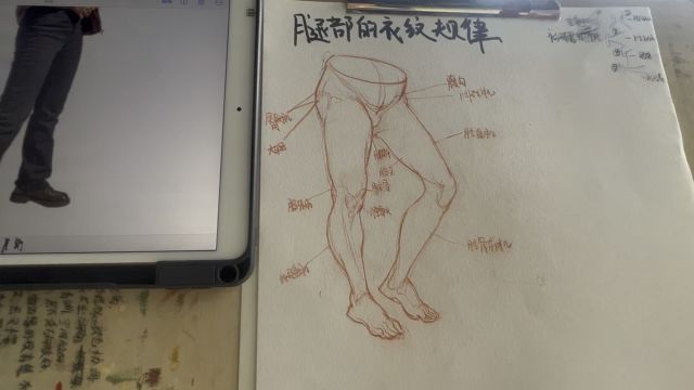 速写腿部局部衣纹