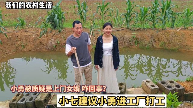 小勇被质疑回娘家做上门女婿,小七建议他进工厂打工,看他怎么说