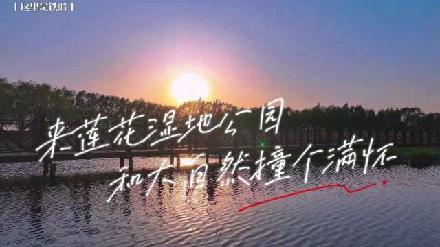 这里是铁岭丨来莲花湿地公园 和大自然撞个满怀