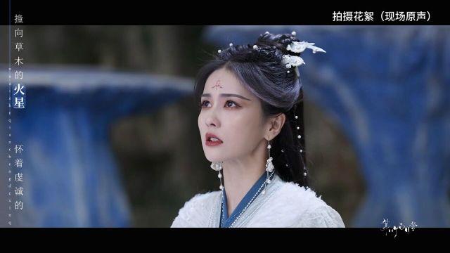 她的演技演员白鹿2023年燃向总结未来可期