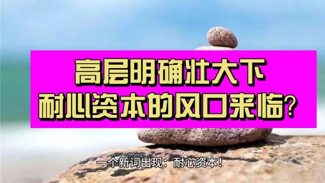 高层明确壮大下耐心资本的风口来临?