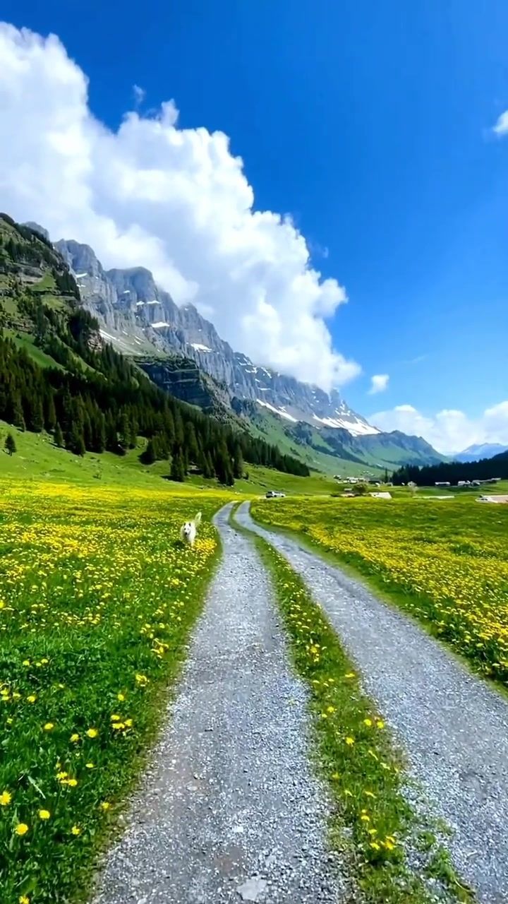 歌曲又逢山#想去的地方总有一天会抵达 #风景都在路上