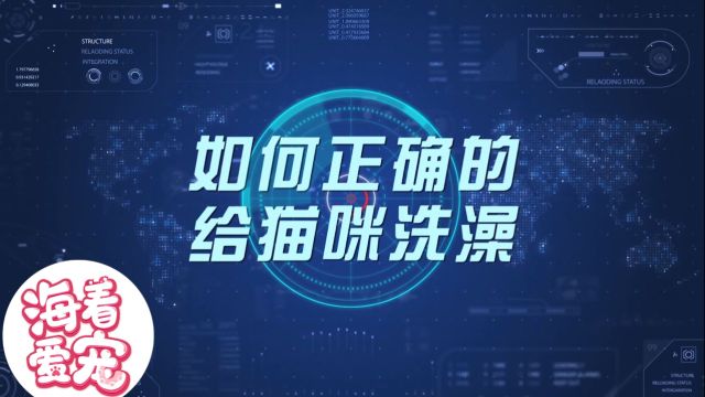 【爱宠说第一季】20期 如何给猫咪正确洗澡