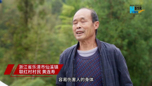 乡村振兴在行动丨浙江温州:“绿电”架起畲乡“共富线”