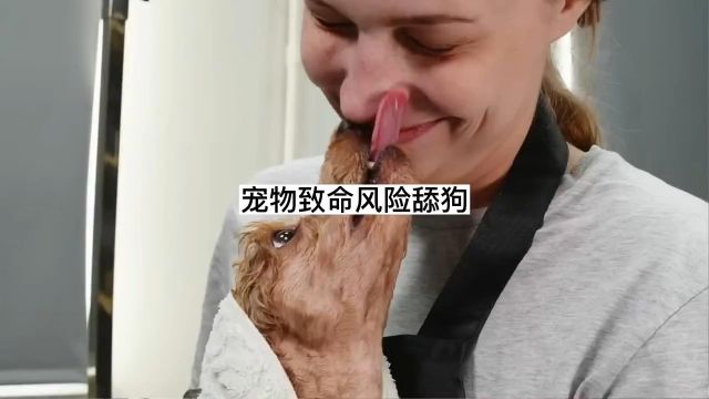 被猫咪舔了一下竟付出生命的代价,被狗舔了下就要截掉四肢,这些动物的舌头为何如此