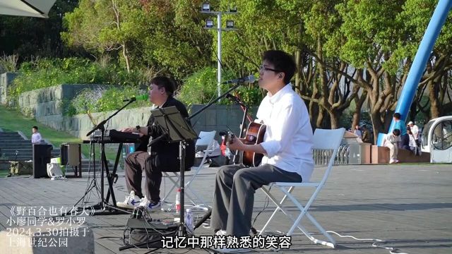 野百合也有春天(live)