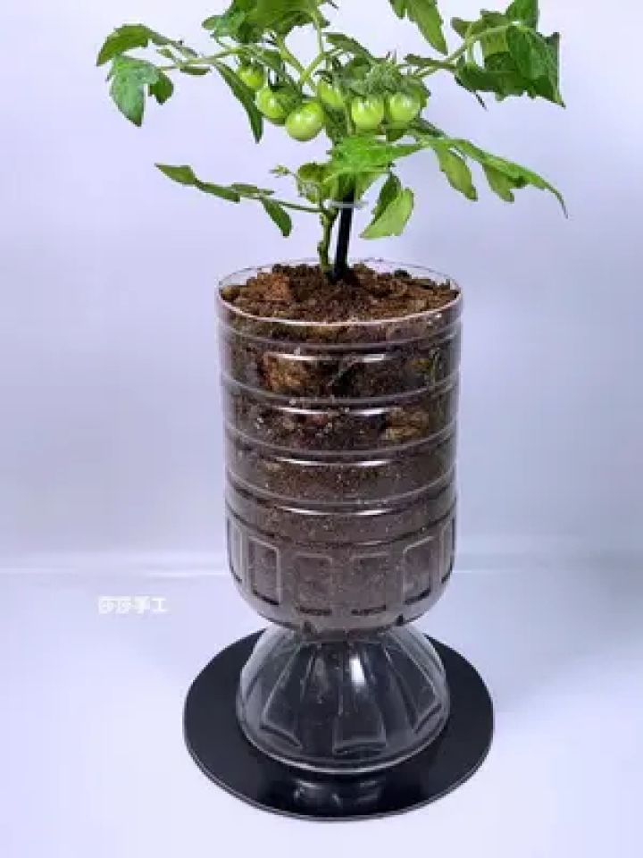 酱油桶制作漂亮花盆图片