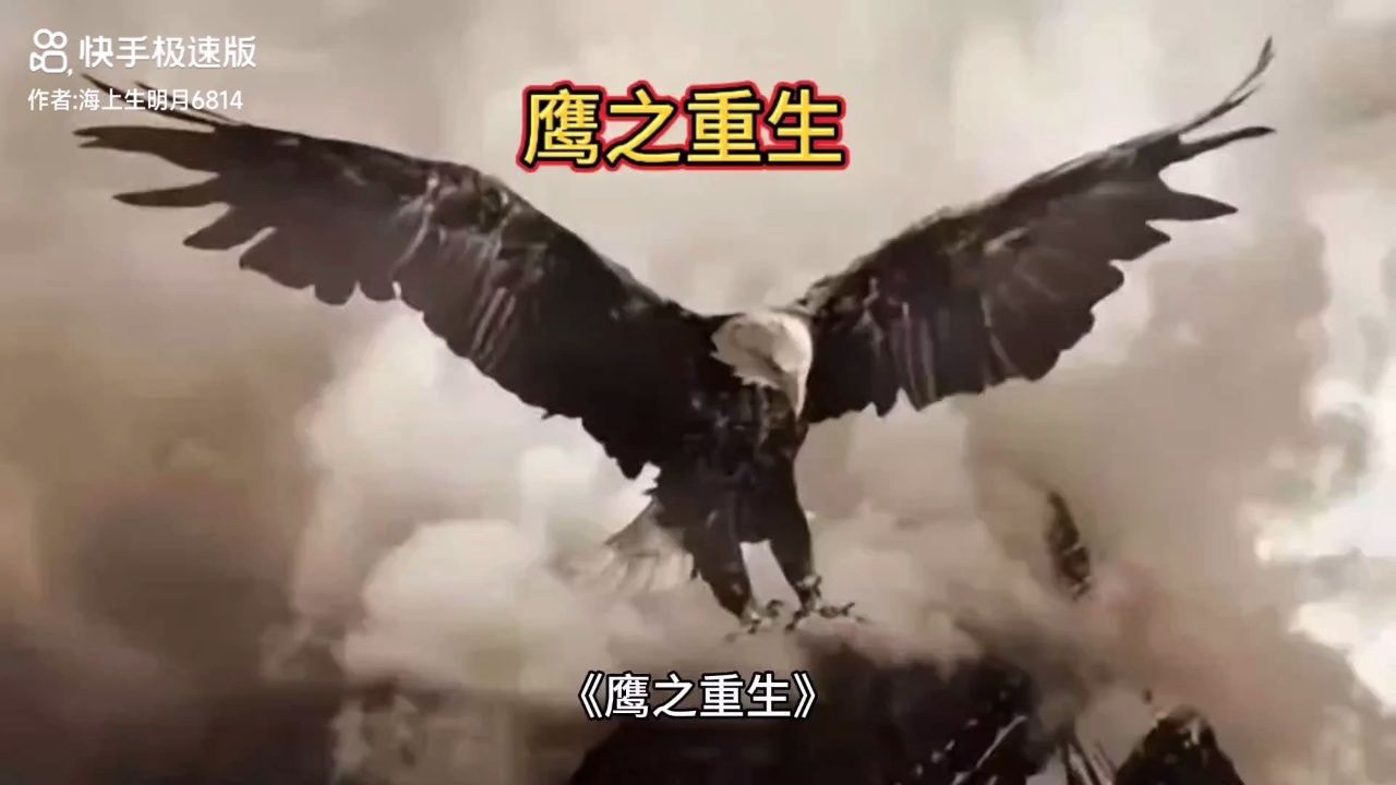 空中霸主,鹰之重生_高清1080P在线观看平台_腾讯视频