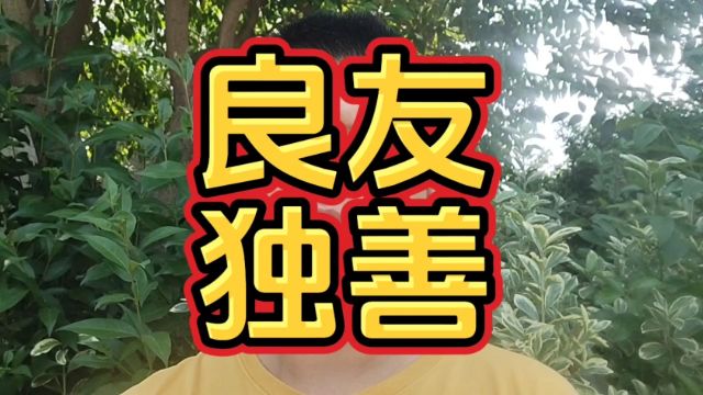 良友独善:揭秘他们如何成为你无法割舍的力量源泉!