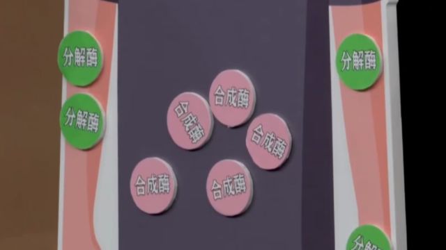 正常人的脂肪有两个酶:合成酶和降解酶,那么垂体瘤为何会让人变胖呢