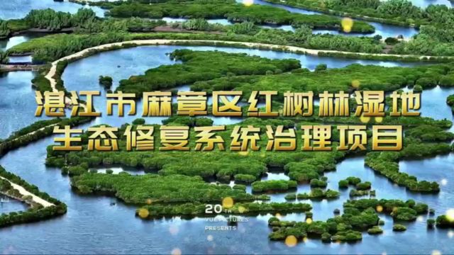 湛江市麻章区红树林湿地生态修复系统治理项目