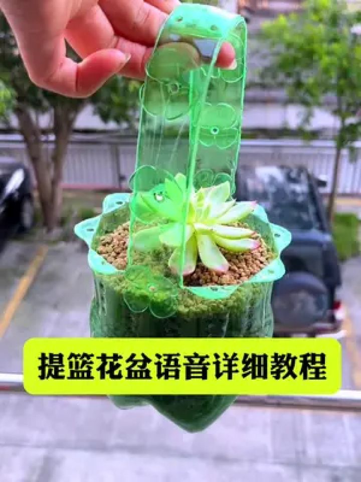 快把你扔进垃圾桶的瓶子捡回来做个小花盆吧 #塑料瓶手工制作盆栽 #变