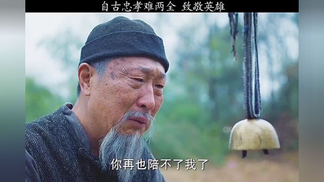 自古忠孝难两全,致敬英雄.