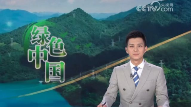 “绿色中国”加减法,推动绿色公路基建,探索减碳“新路径”