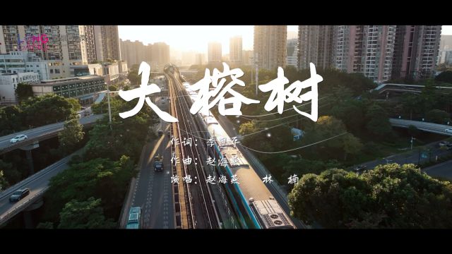 赵海燕 林楠 《大榕树》MV