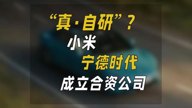 “真ⷨ‡ꧠ””?小米宁德时代成立合资公司