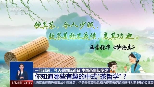 “茶”字拆开就是“人在草木间” 茶文化中包含了这些生活雅趣→