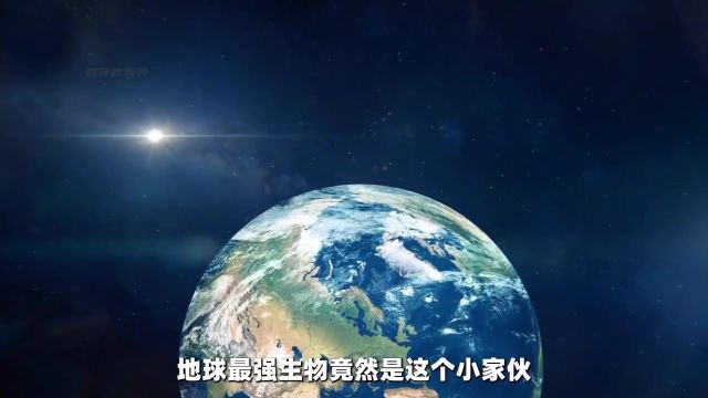 你知道地球最强的生物是什么吗?