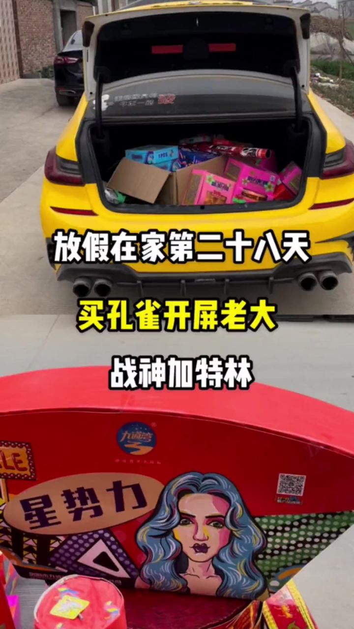 孔雀开屏的老大哥来了～安排