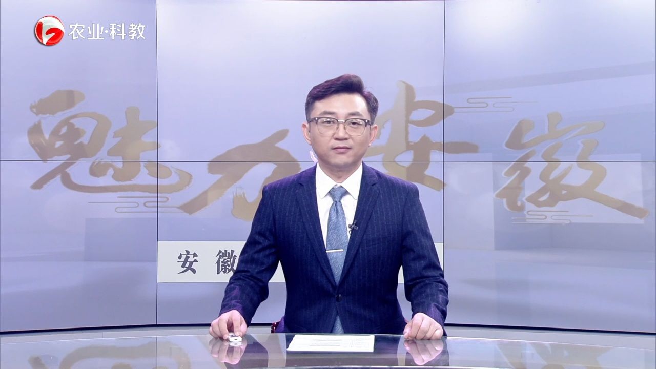 安徽农业科教频道魅力安徽报道:长丰县下塘中心卫生院全力打造患者