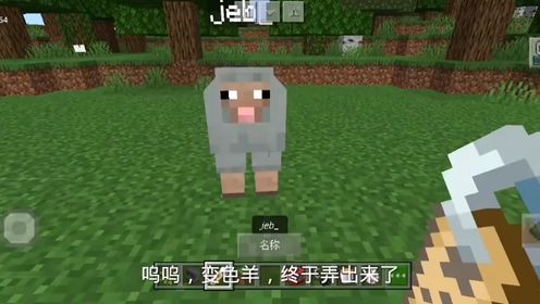 我的世界 变色的羊 我的世界 不能怪我 我的世界 不务正业