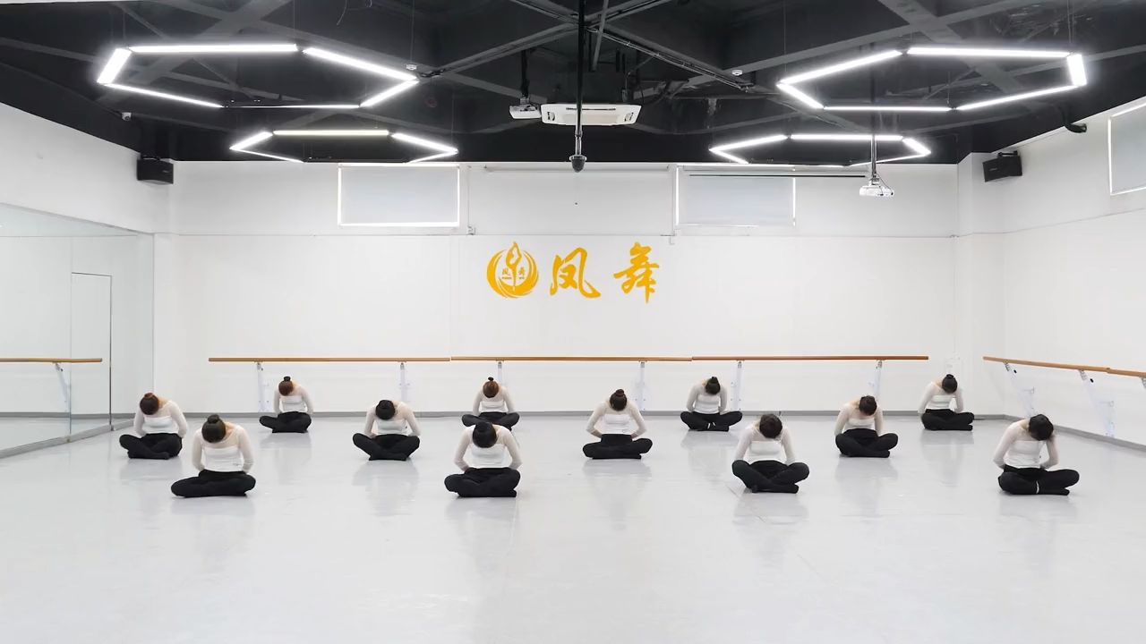 凤舞原创初级基本功综合组合舞蹈