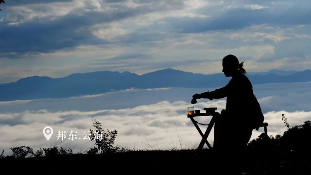 5ⷲ1国际茶日|有一种茶香在临沧