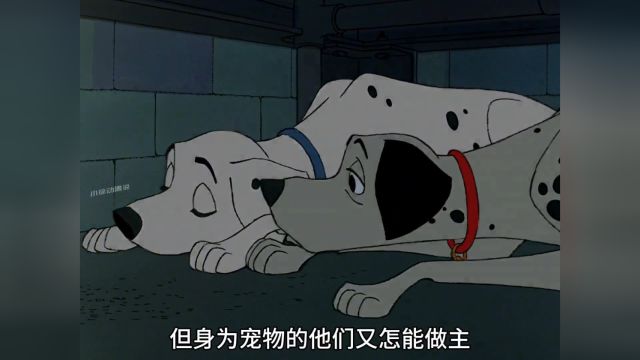 经典动画《101忠犬》,一只斑点狗帮主人找到了挚爱一生的伴侣2