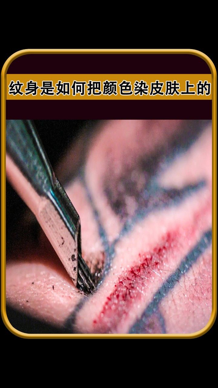 纹身是如何把颜色染到皮肤上的