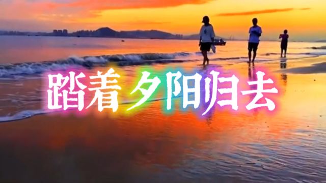 踏着夕阳归去  刘文正演唱金曲