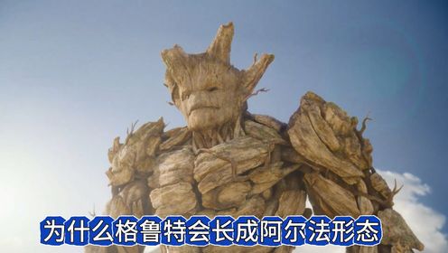 格鲁特为什么会长成阿尔法形?