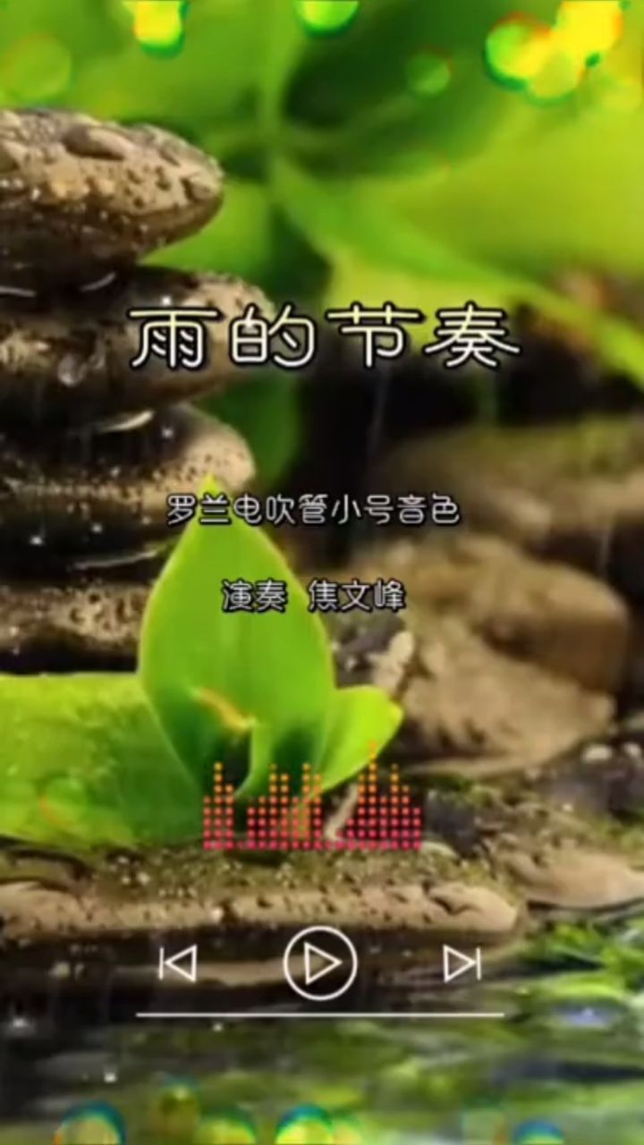 《雨的节奏》罗兰电吹管ae10小号音色be调
