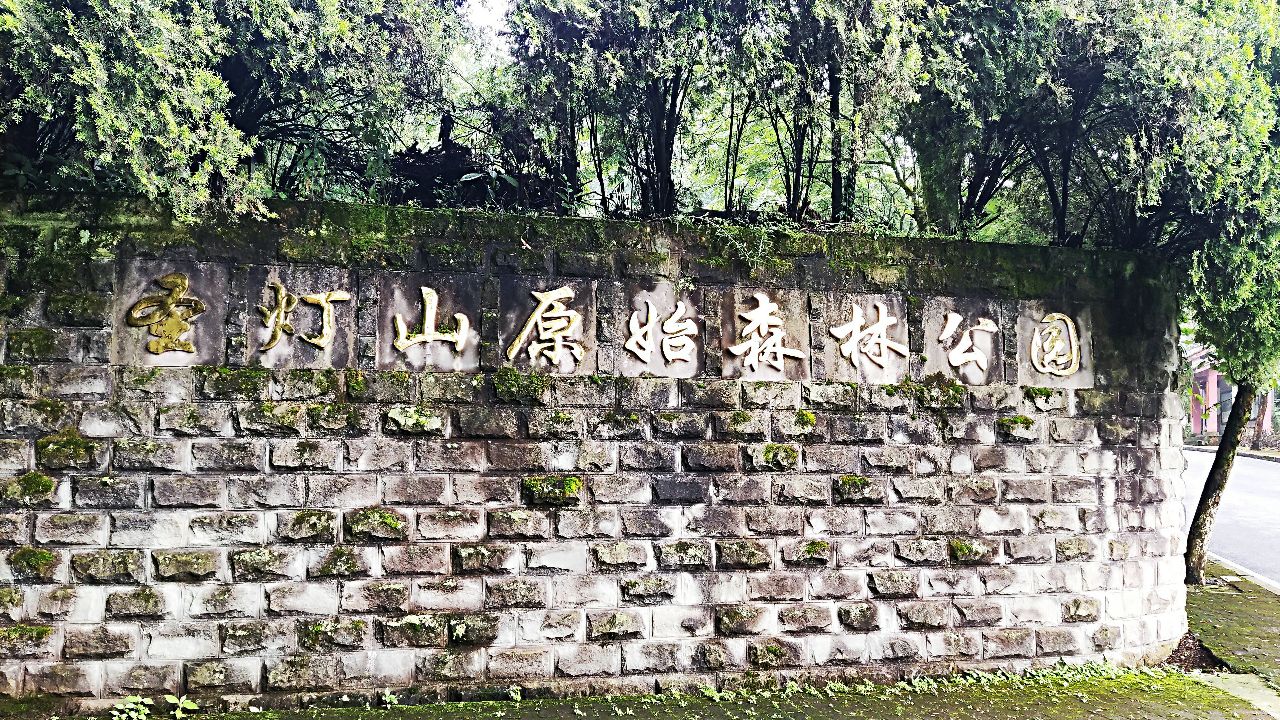 圣灯山原始森林公园
