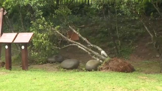 福建武夷山遭遇强降雨导致局部道路塌方,武夷山主景区暂时关闭