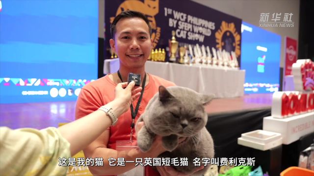 马尼拉举行世界猫展