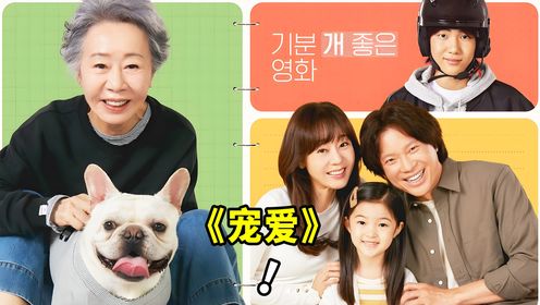 2024韩国催泪电影《宠爱》，一只小狗串起两个半家庭