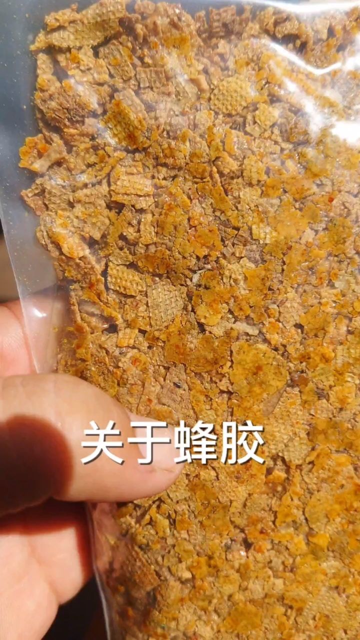 天然蜂胶的正确吃法视频(天然的蜂胶怎么吃)