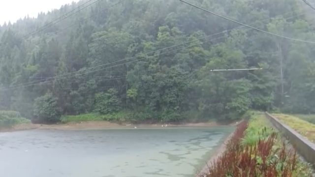 湖南桑植:降雨致河流水位上涨,数字化监测水情变化