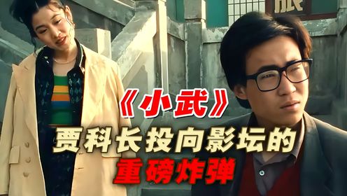 《小武》:仅20万的成本,却拍出了国人最真实一面,没能上映太可惜_高清1080P在线观看平台_腾讯视频