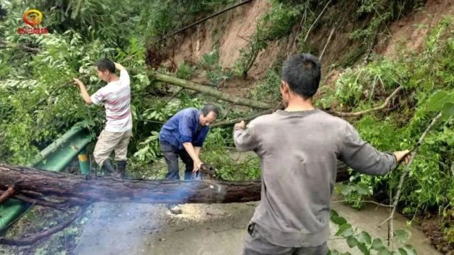 暴雨中,秭归有一群这样的“逆行者”……