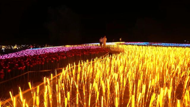 杭州桐庐:花海浪漫灯光秀点亮“夏夜经济”