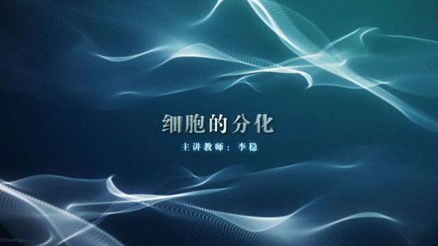 微型课《细胞的分化》