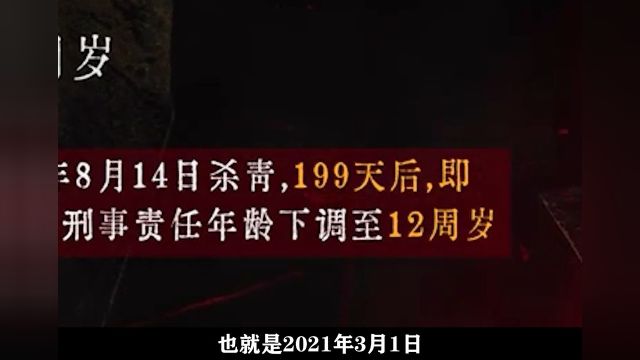 低龄不是恶性犯罪的免死金牌!