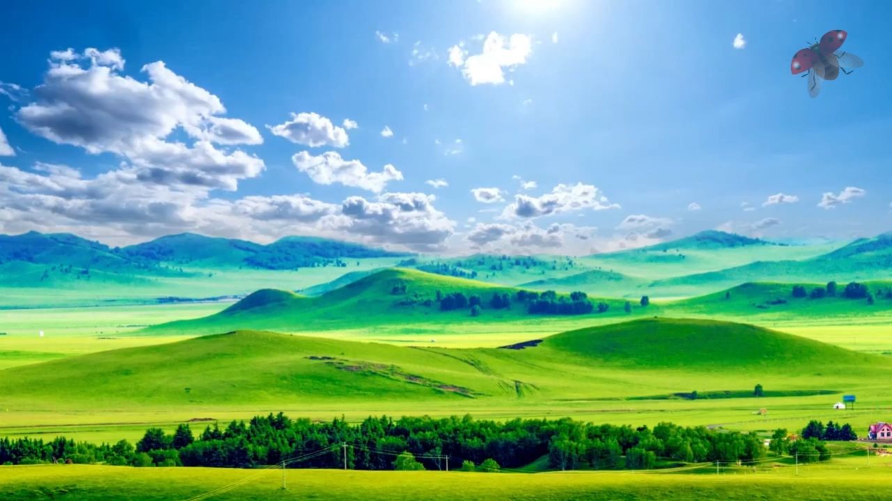 醉乡 歌曲内蒙古大草原舞蹈歌唱表演节目大屏高清led背景视频素材