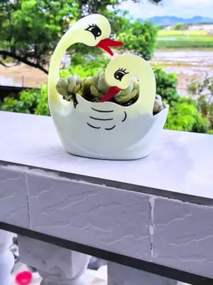 洗衣液瓶做天鹅花盆 #变废为宝 #空瓶子的妙用 #自制花盆 #手工